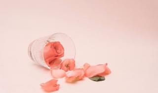 在我生命里的每一天