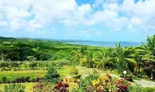 梦幻水族馆6 梦幻水族馆6