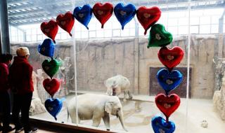 11月14日是什么情人节 11月14日是什么情人节